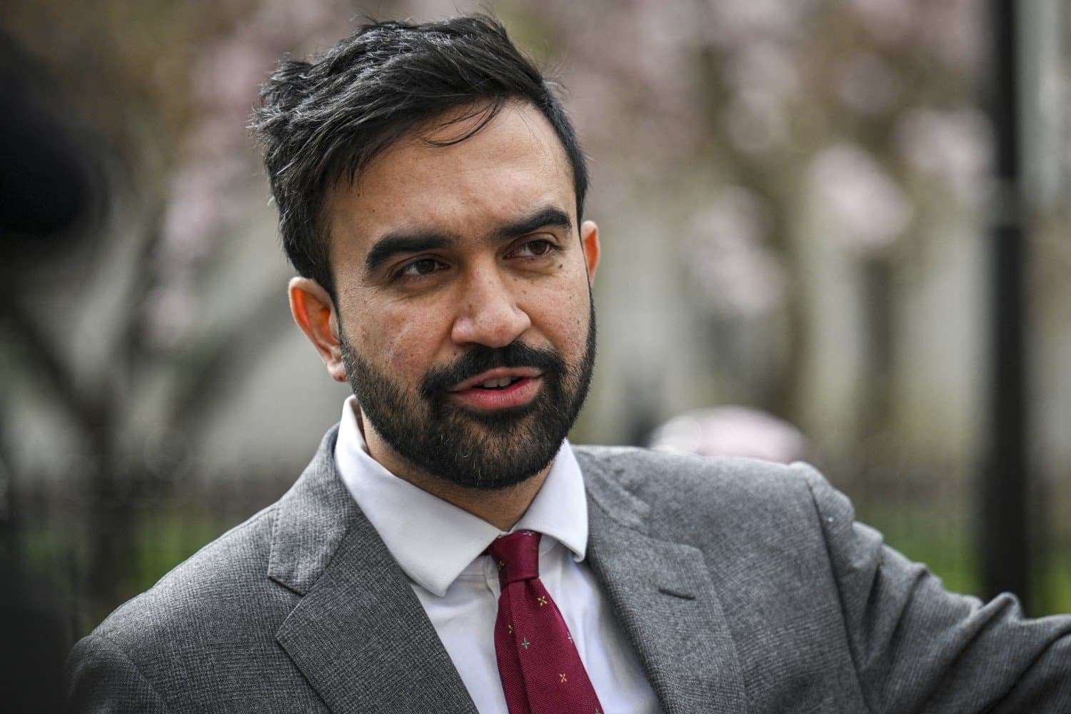 How many boroughs will Mamdani win in NYC Mayoral Election?