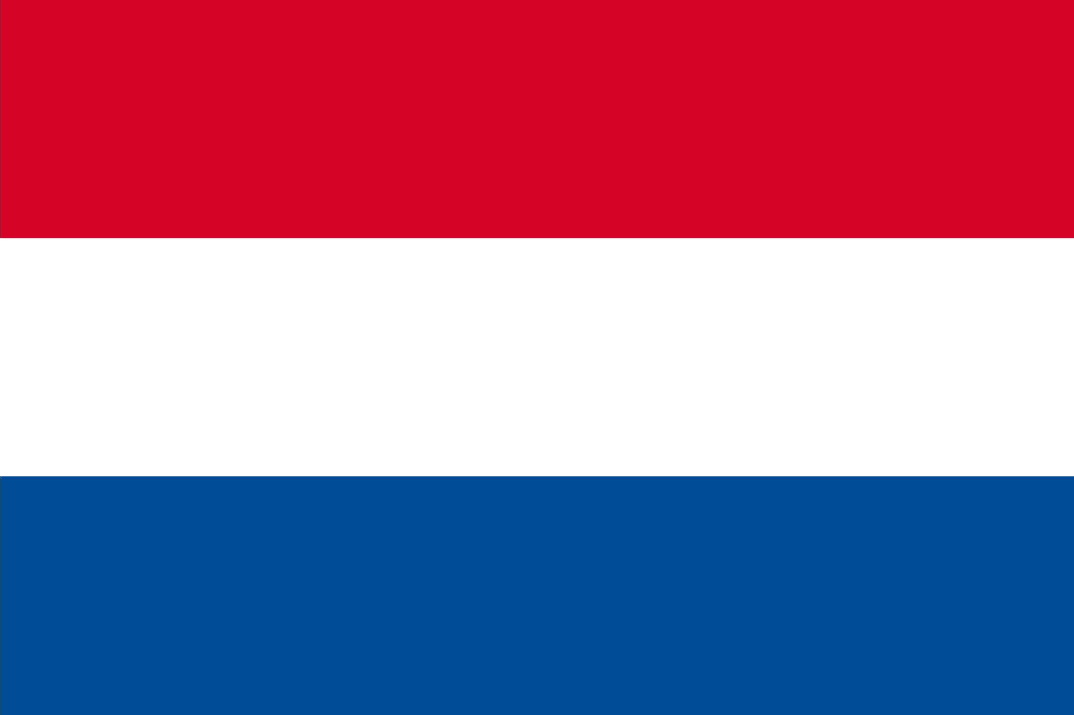 Next Prime Minister of the Netherlands