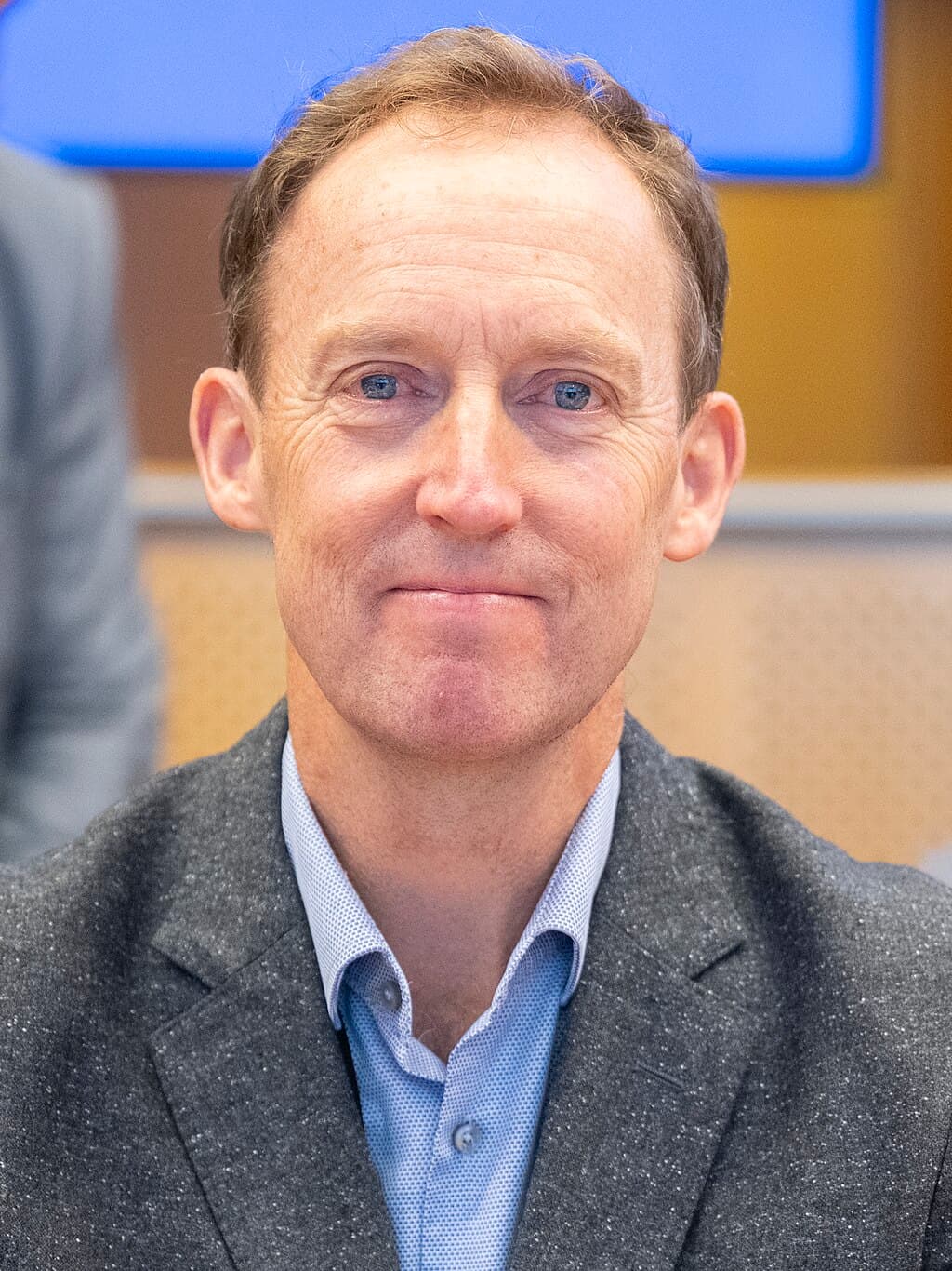 Will Barry Andrews win the Irish Presidential Election?